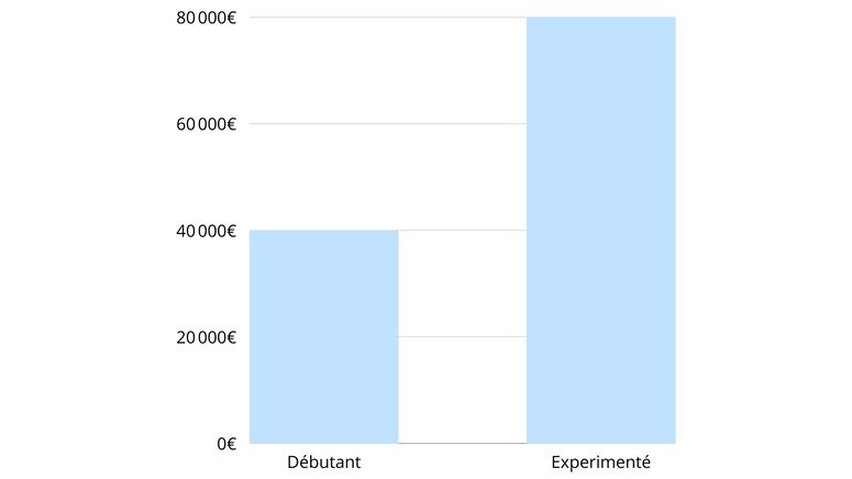 Illustration graphique du salaire d'un design automobile